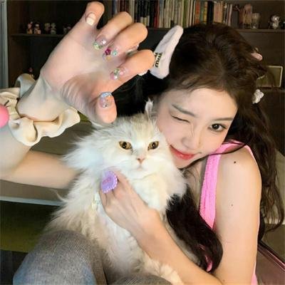 虹猫蓝兔七侠外传 跳跳篇